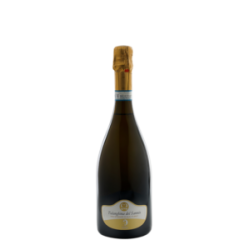 Falanghina del Sannio DOC - spumante 22