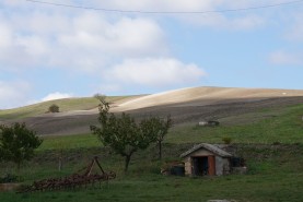 Visite aziendali: Dove nascono i sapori