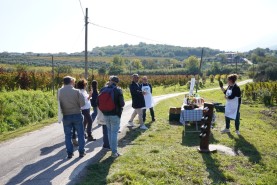 Visite aziendali: Dove nascono i sapori