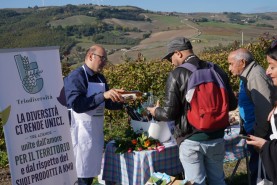 Visite aziendali: Dove nascono i sapori