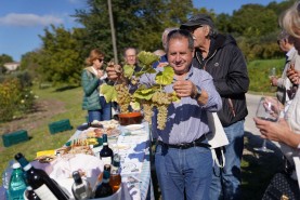 Visite aziendali: Dove nascono i sapori