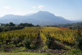 Visite aziendali: Dove nascono i sapori