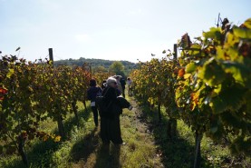 Visite aziendali: Dove nascono i sapori