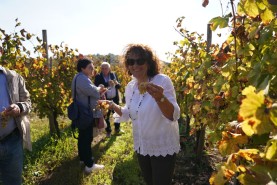 Visite aziendali: Dove nascono i sapori