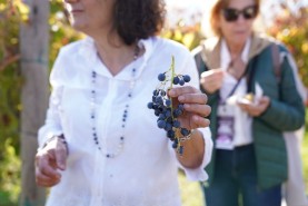 Visite aziendali: Dove nascono i sapori