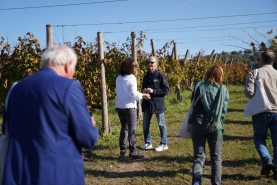 Visite aziendali: Dove nascono i sapori