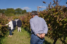 Visite aziendali: Dove nascono i sapori