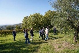 Visite aziendali: Dove nascono i sapori