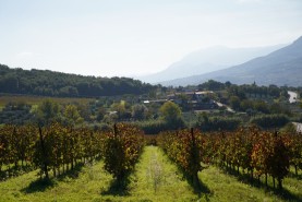 Visite aziendali: Dove nascono i sapori